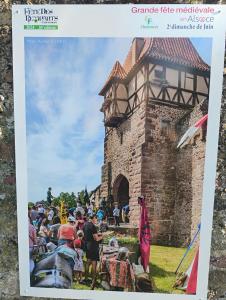 Appartements Gite Le Marronnier - au calme - parking & terrasse - pres de Colmar et Riquewihr - route des vins : photos des chambres