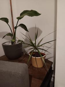 Sleeps 5 - 2 Bedroom House