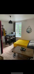 Appartements Studio coeur de ville : photos des chambres