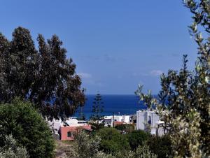 Thealos Syros Greece