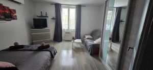 Appartement avec jardin à Colmar