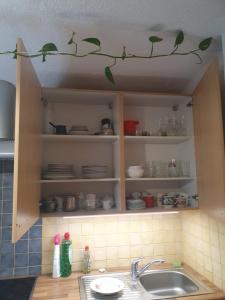 ALPINE VILLAGE APARTMENT with a private terrace, garden, and parking - at a walking distance from LAKE BLED