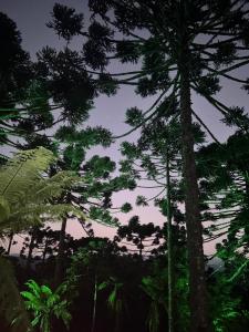 Chalé Bosque dos Xaxins I