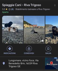Popi al mare in villa con giardino e wifi
