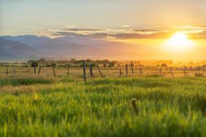 Upscale Hot Tub Wildlife Views