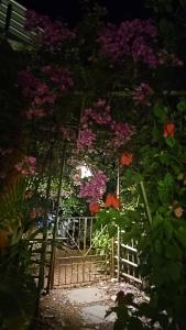 Laxmi Happy Home in Querim Goa