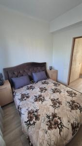 Apartamentai Zibutės