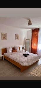 Appartements A deux pas du musee de l automobile : photos des chambres