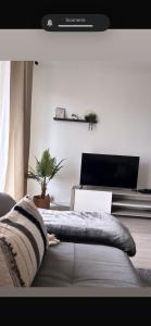 Appartements A deux pas du musee de l automobile : Appartement 1 Chambre