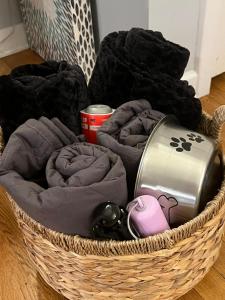 Charming Downtown Corner Cottage - Dog Friendly!