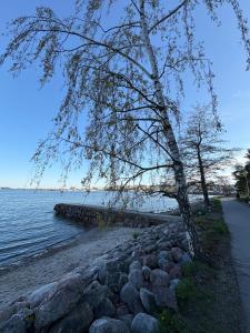 City Meets Sea - Waterfront Stay Helsinki Center