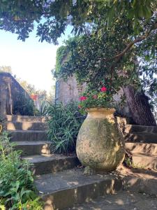 Luxury and peace in Portofino