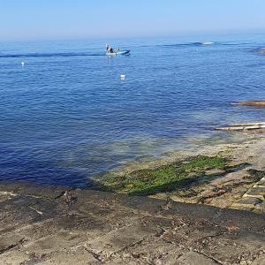 LOasi del Mediterraneo