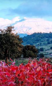 Casaparrinello Maletto Concy