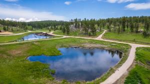 Secret Squirrel Sanctuary