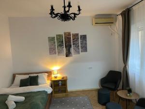 Affordable 1Br Apt in Downtown