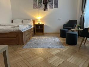 Affordable 1Br Apt in Downtown