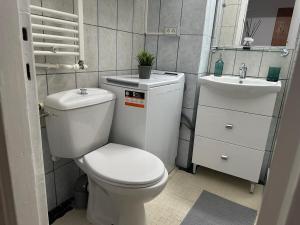 Affordable 1Br Apt in Downtown