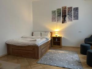 Affordable 1Br Apt in Downtown