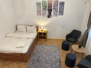 Affordable 1Br Apt in Downtown