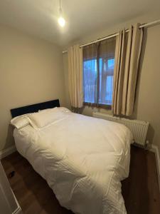 Large Home in South Dublin