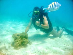 FLAT APARTAMENTO NA PRAIA DO FORTE