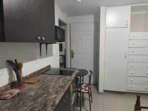 apartamentito tipo estudio AMUEBLADO tranquilo y acogedor cocina y baño privado independiente en CHANIS cerca de Costa del este