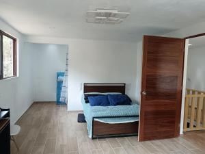 New house in the forest