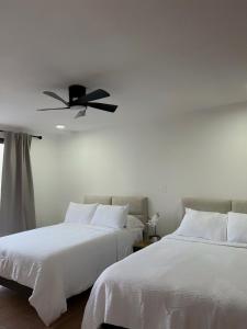 Habitacion Roma en The Green Door