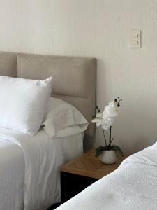 Habitacion Roma en The Green Door