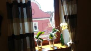 Apartamenty Stary Rynek Żydowska