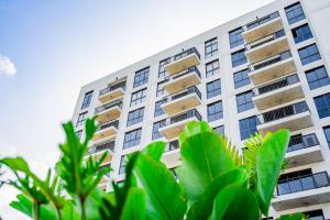 Centriqo by Wynwood House