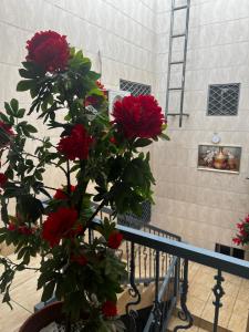 Résidence Shalom Bonamoussadi - Appartements Deluxe avec Wifi, Clim, Parking, Gardien 24h