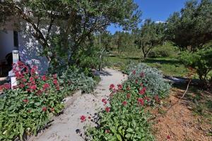 Apartments by the sea Barbat, Rab - 14247