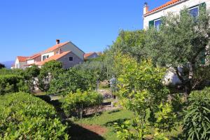 Apartments with parking space Splitska, Brac - 17023