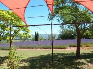 Maisons de vacances Le Luberon : photos des chambres