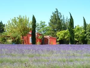 Maisons de vacances Le Luberon : photos des chambres