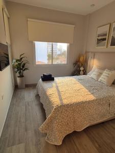 Apartamento Zona Paseo la Galería