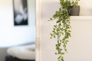 Landvetter Apartment