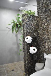 Casa Nimbu Rainforest