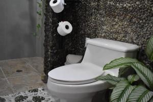 Casa Nimbu Rainforest