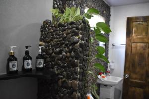 Casa Nimbu Rainforest