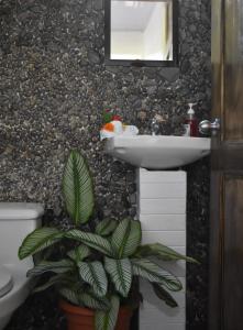 Casa Nimbu Rainforest