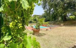 Gorgeous Home In Ficulle With Wifi