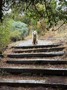 cabaña con tinaja en viña narbona wines