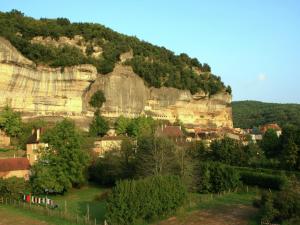 Maisons de vacances Cottage in Vezac with Pool & River Nearby : photos des chambres