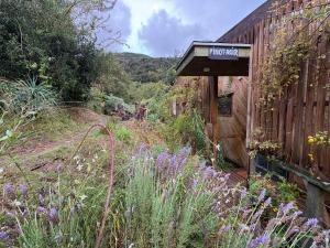 cabaña con tinaja en viña narbona wines