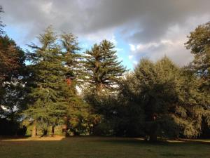 Maisons de vacances Holiday Home in Bergerac near Chateau Bridoire : photos des chambres