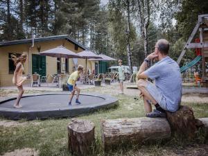 Tranquil pine forest chalet in Antwerp Kempen