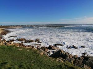 Appartements Apartment in Audierne near Trescadec Beach : Appartement 1 Chambre